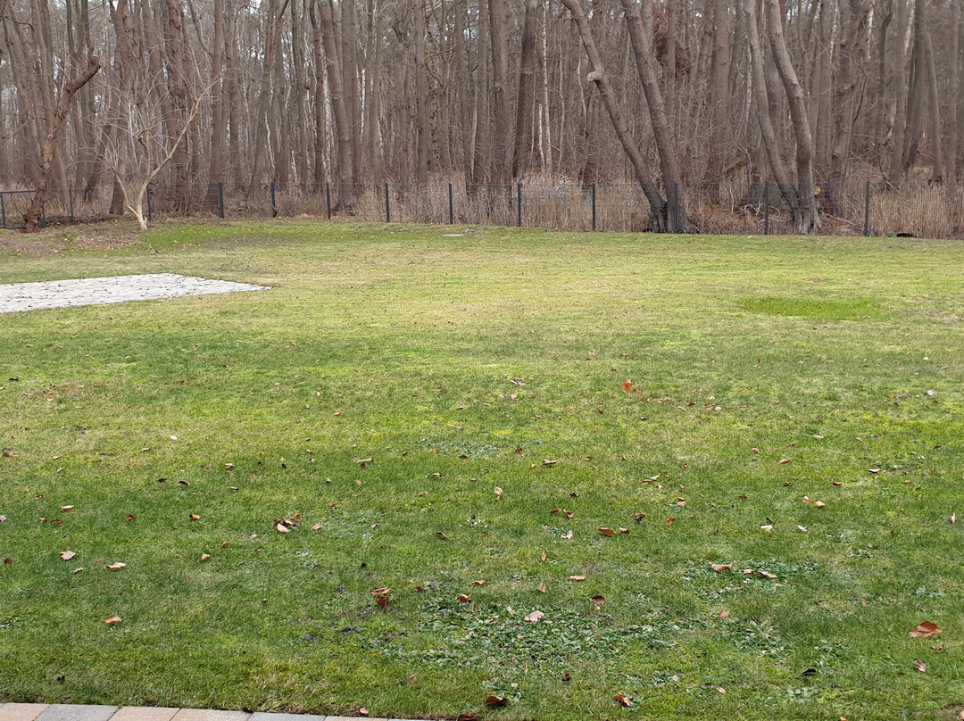 Hotel zur Ostsee主图