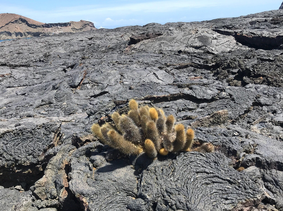 Sullivan Bay-Santiago必去景点