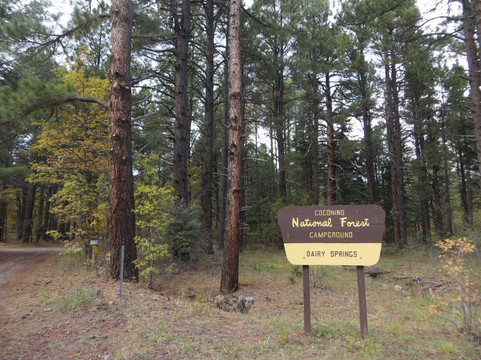 Dairy Springs Campground主图