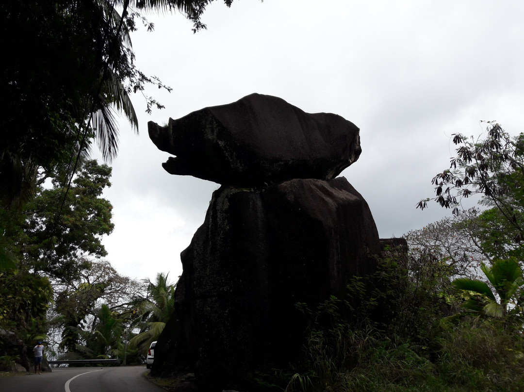 Anse Boileau旅游攻略图片
