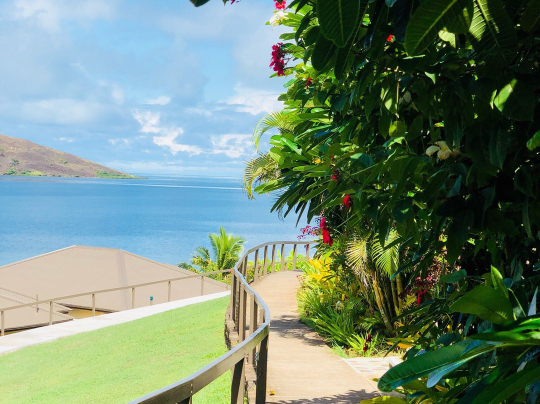 Diving The Bligh Water & Vatu-I-Ra with Ra Divers-拉奇拉奇必去景点