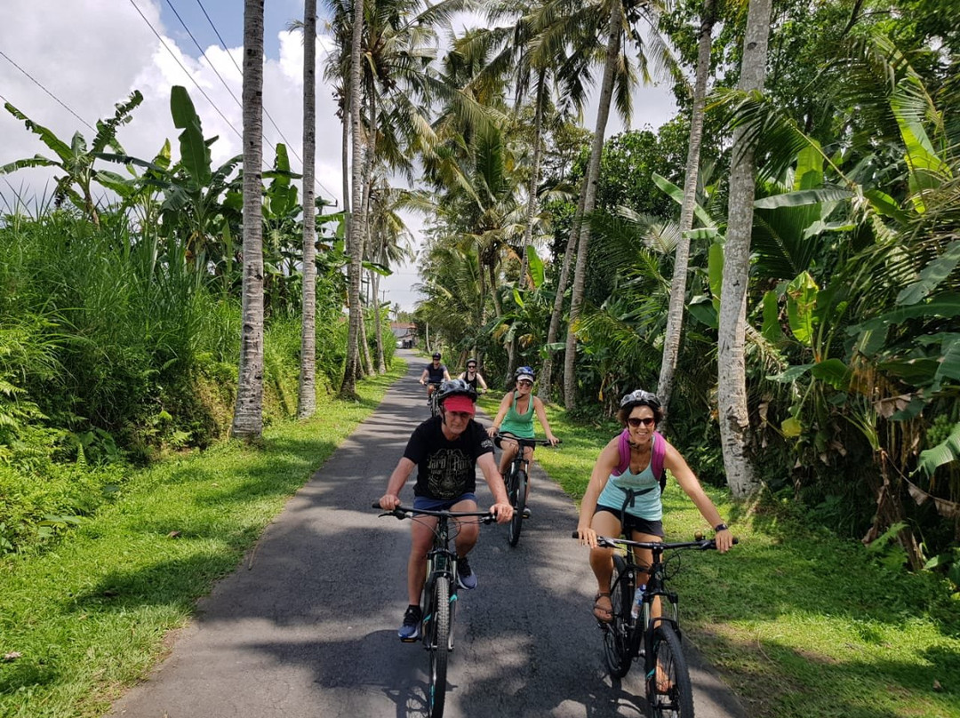 Ubud Cycling Bike景点图片
