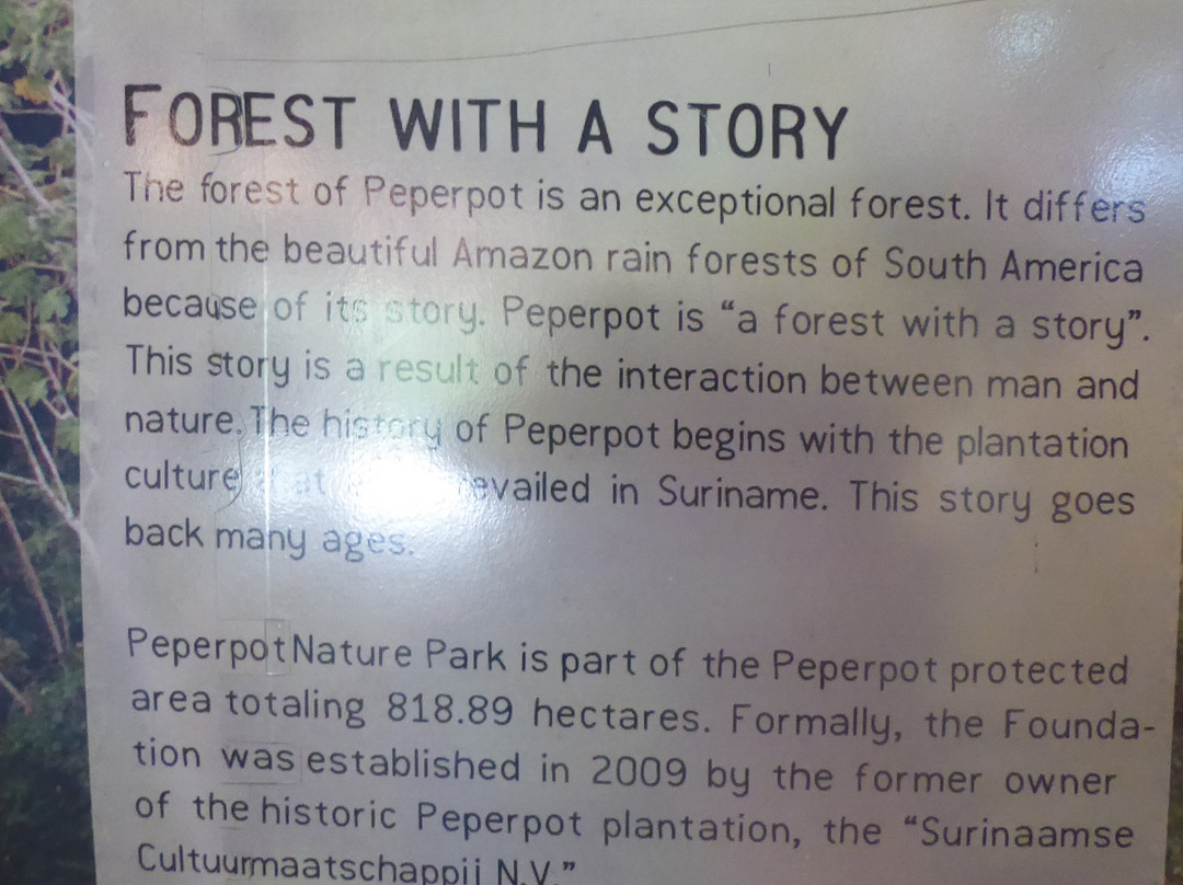 Peperpot Nature Park-Meerzorg必去景点