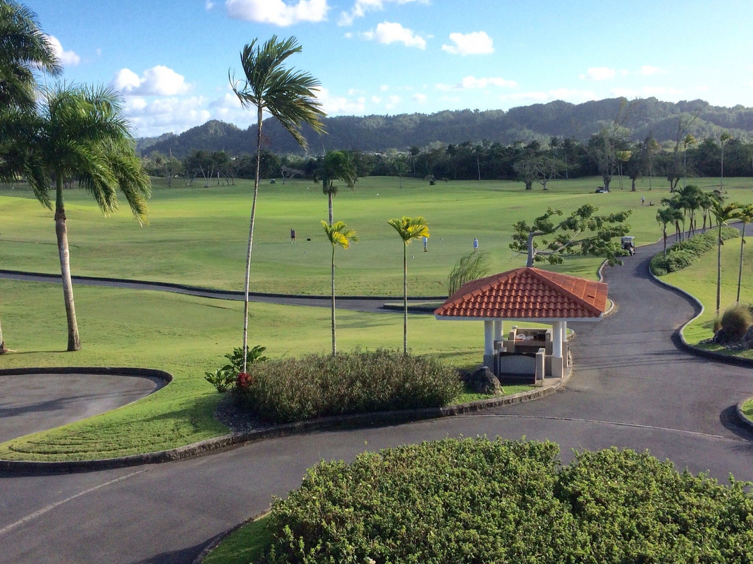 Dorado Beach Resort & Golf Club景点图片