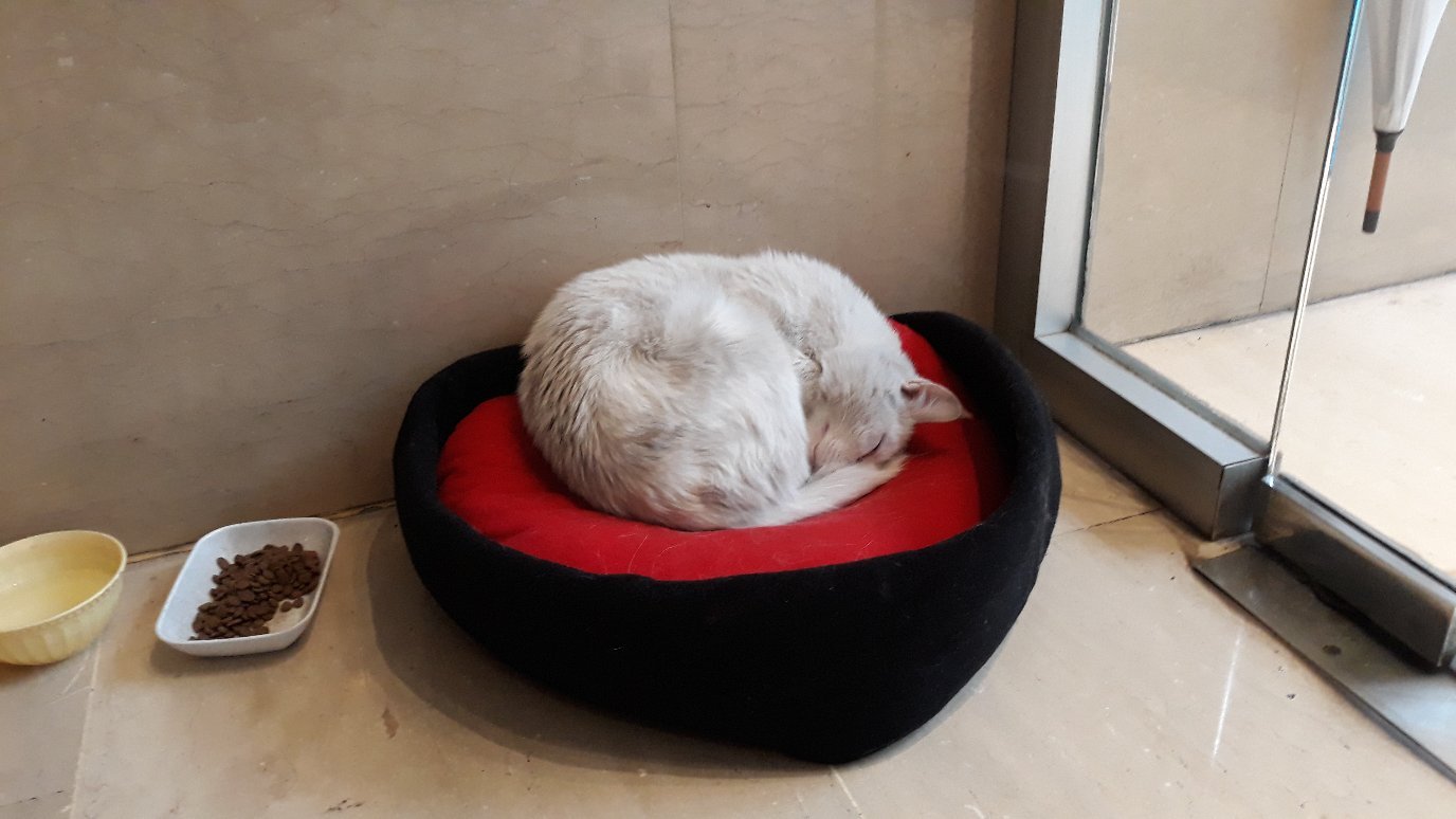 SV Business Hotel Diyarbakır-官方