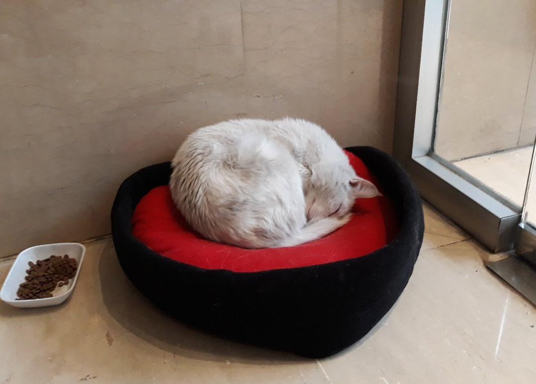 SV Business Hotel Diyarbakır主图