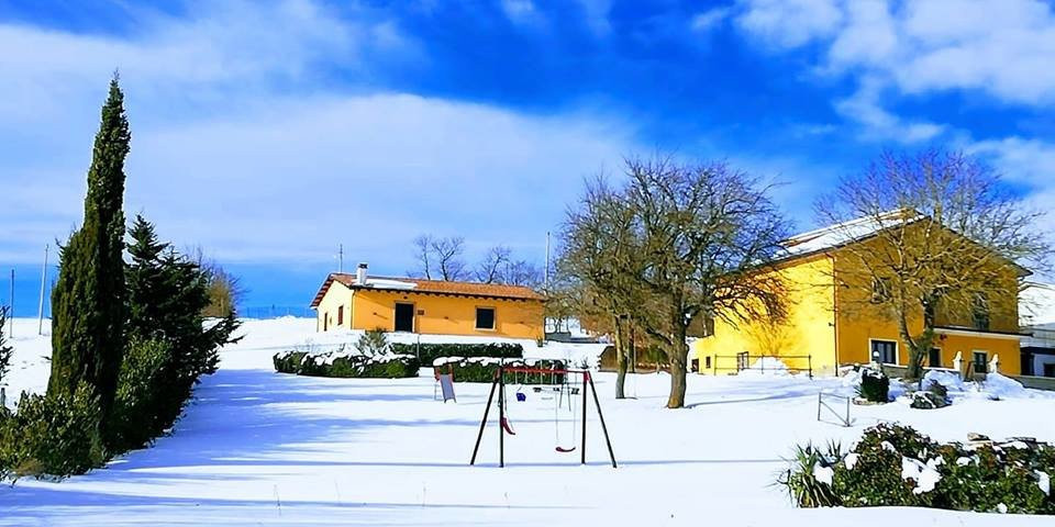 B&B Agriturismo Lisoni