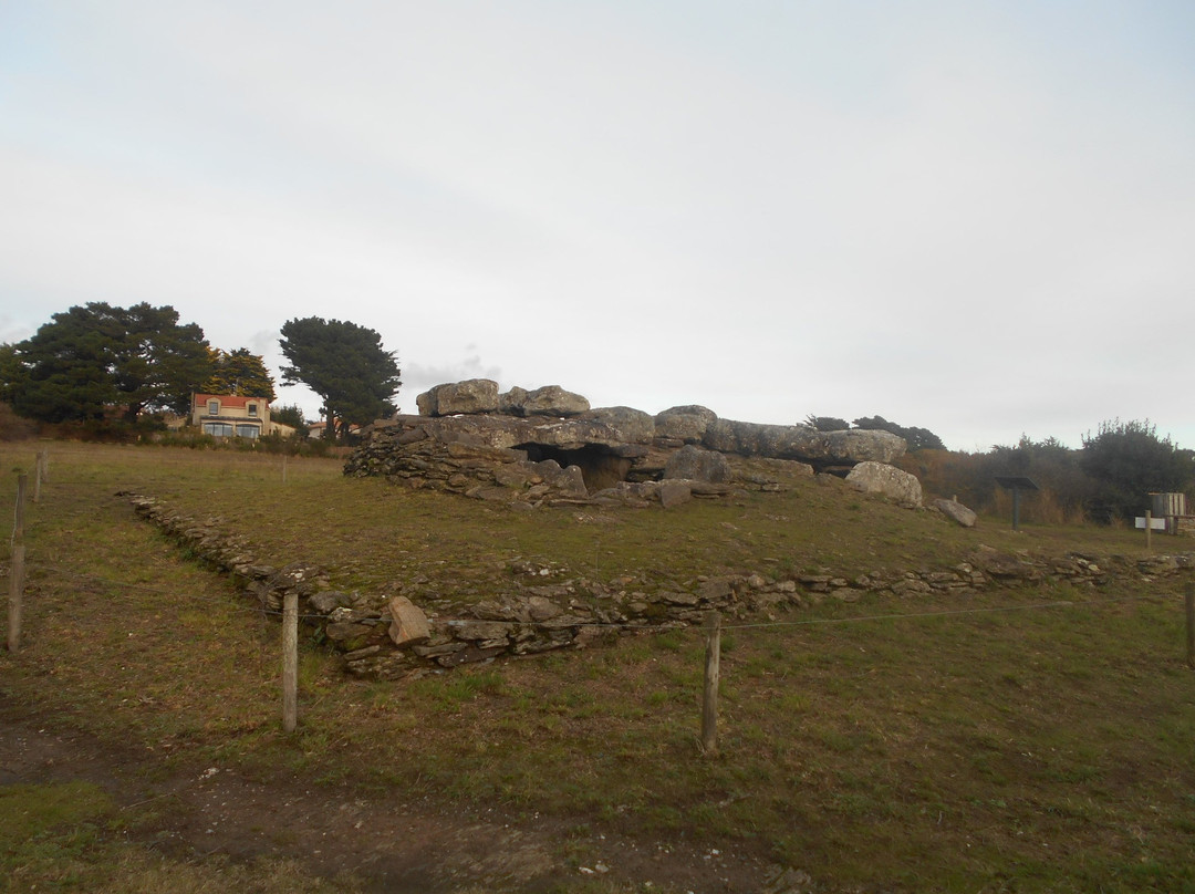 Dolmen de la Joseliere景点图片