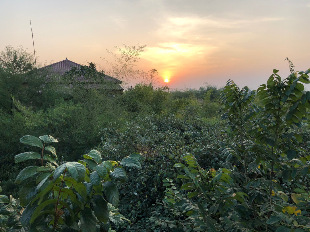 The Bamboo Forest Safari Lodge主图