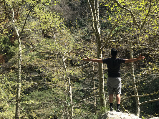 Eco Events-雷斯蒙必去景点