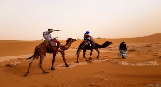 Desert Vacances-迈哈米德必去景点