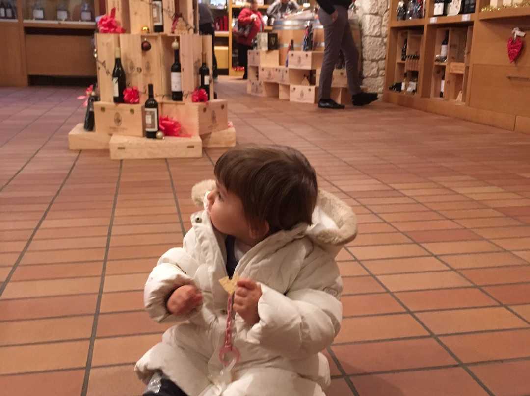 Cantina Valpolicella Negrar-维罗纳必去景点