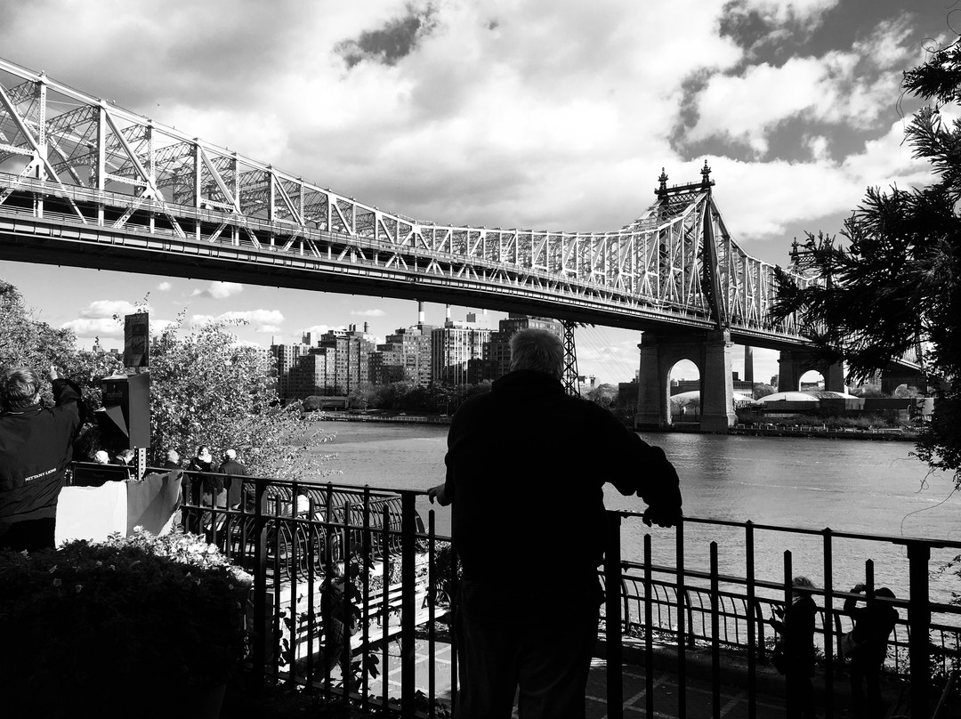 TCM Classic Film Tour-纽约市必去景点