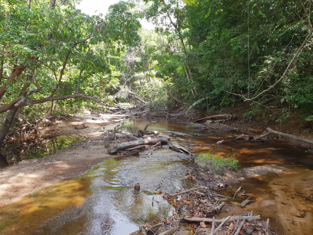 Crique Toussaint-Sinnamary必去景点