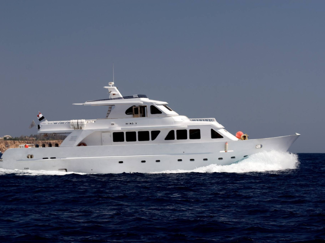 Wreck Adventures-沙姆沙伊赫必去景点