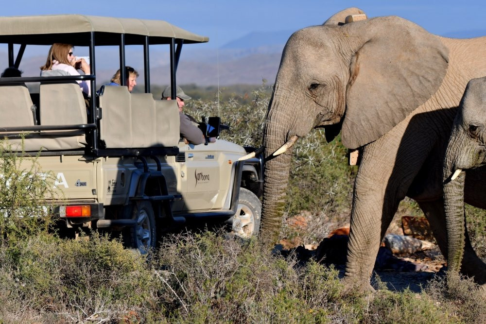 Sanbona Wildlife Reserve主图
