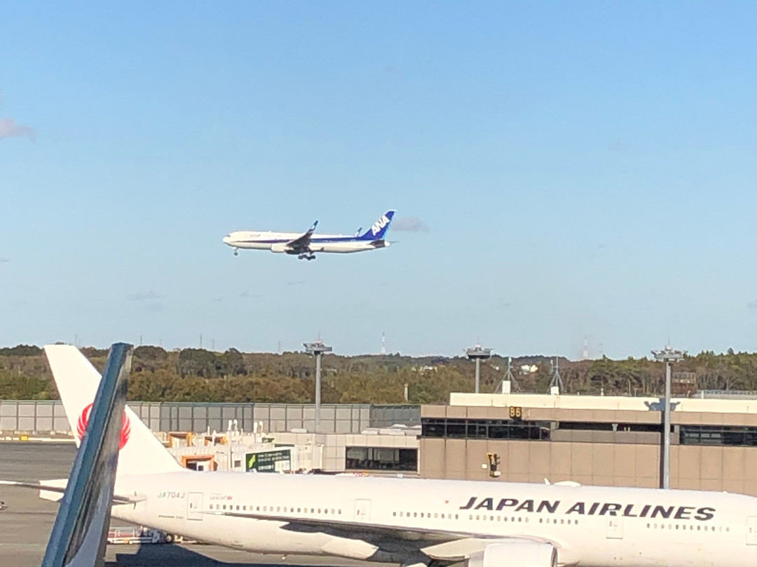 Observation Deck at Narita Airport Terminal 2-成田市必去景点