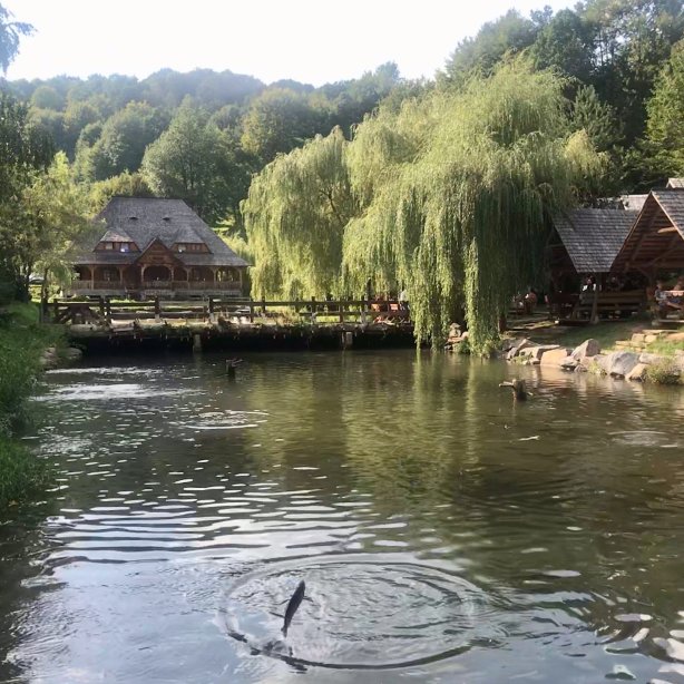 Pensiunea Alex-官方