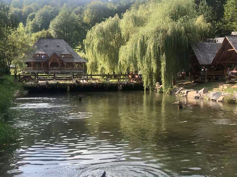 Baile Borsa酒店住宿-Pensiunea Alex