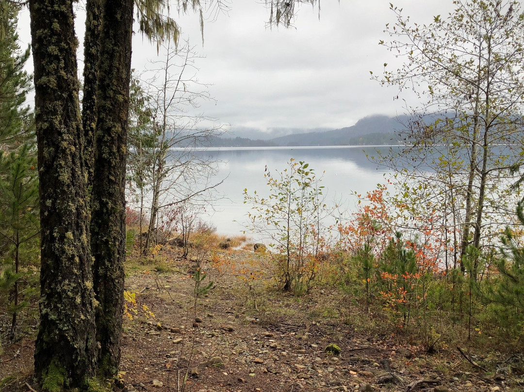 Petroglyphs at Sproat Lake景点图片