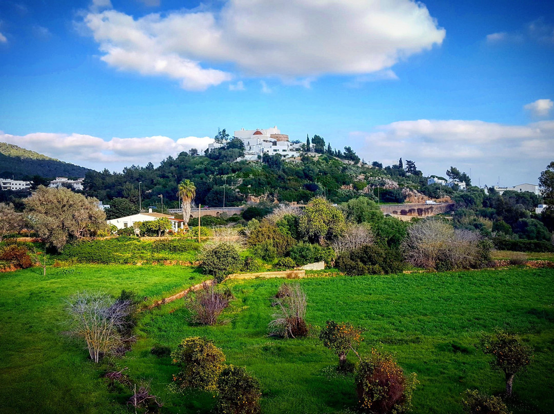 Ibiza My Tours-伊维萨城区必去景点