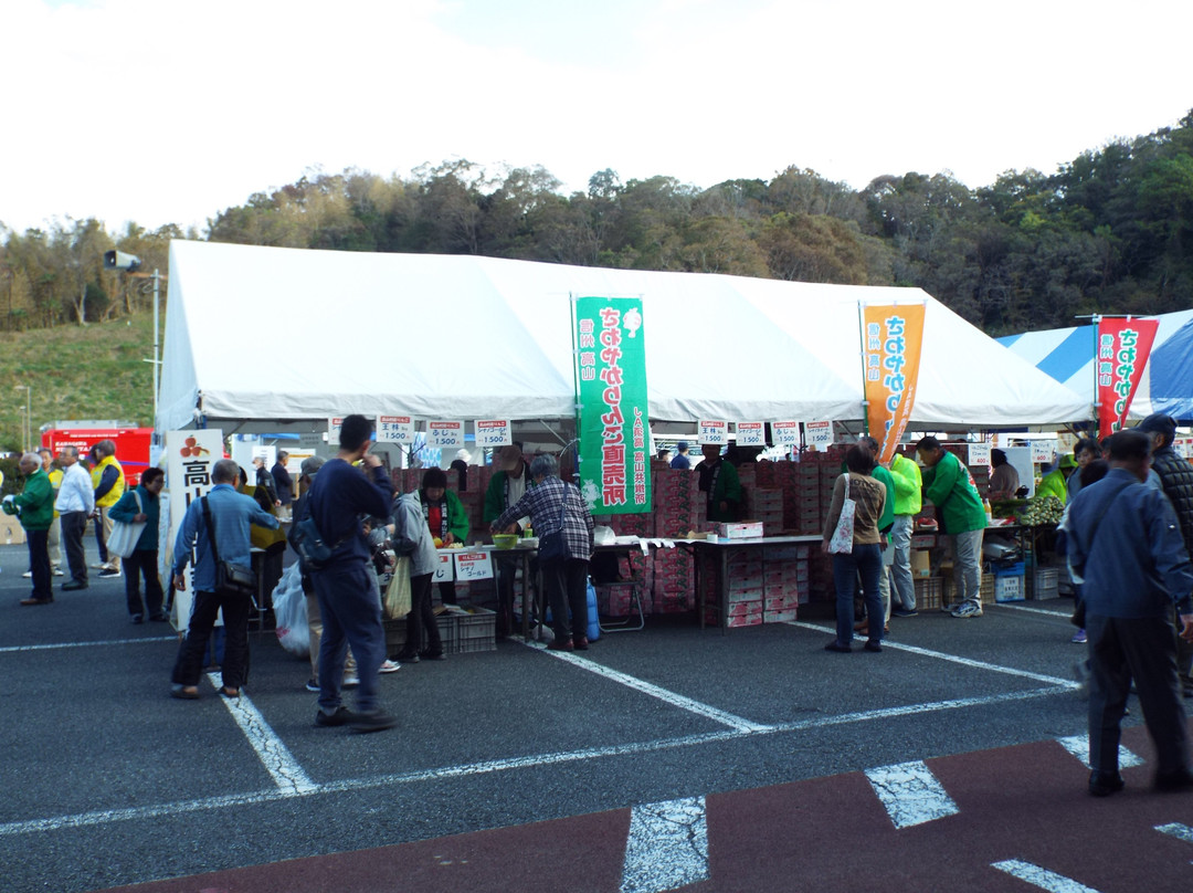 Radiant Flower Hill Park-二宫町必去景点