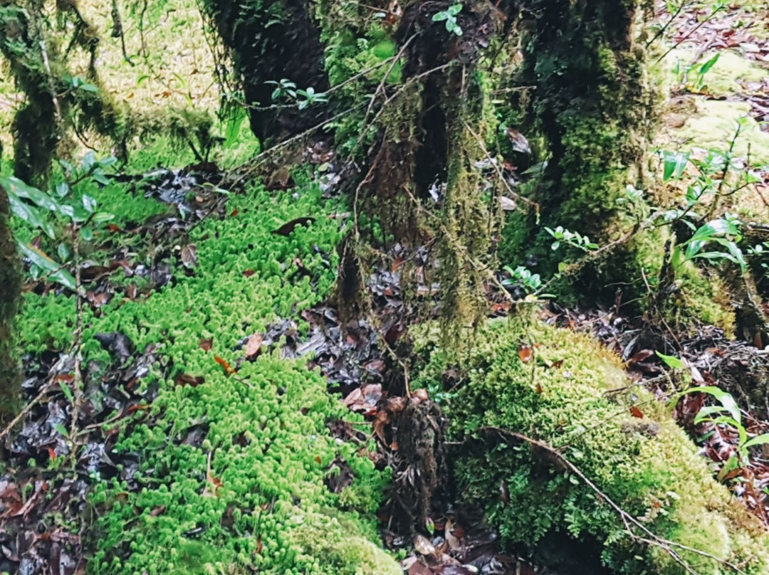 Nature Trails Ang Ka