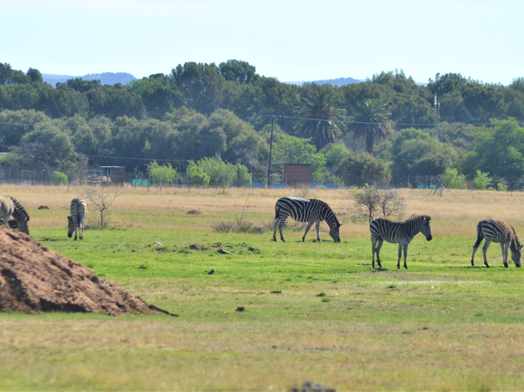 Emoya Basotho Lodge & Spa主图