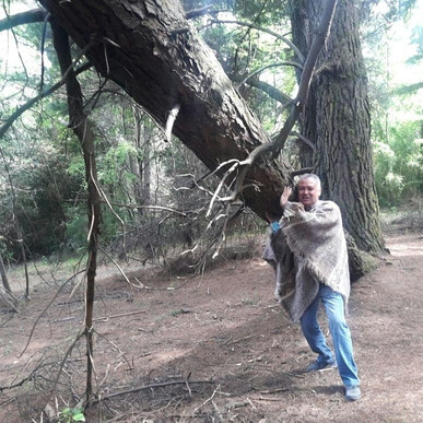 Cautin Outdoor-特木科必去景点