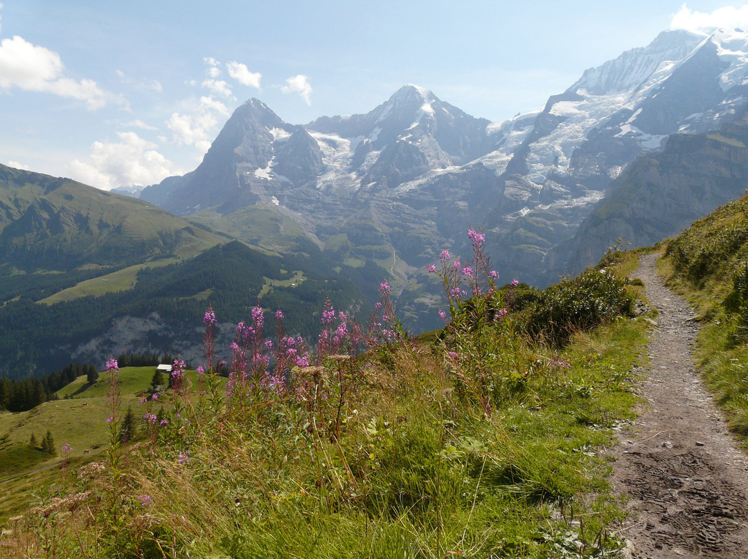 Blumental Panorama Trail