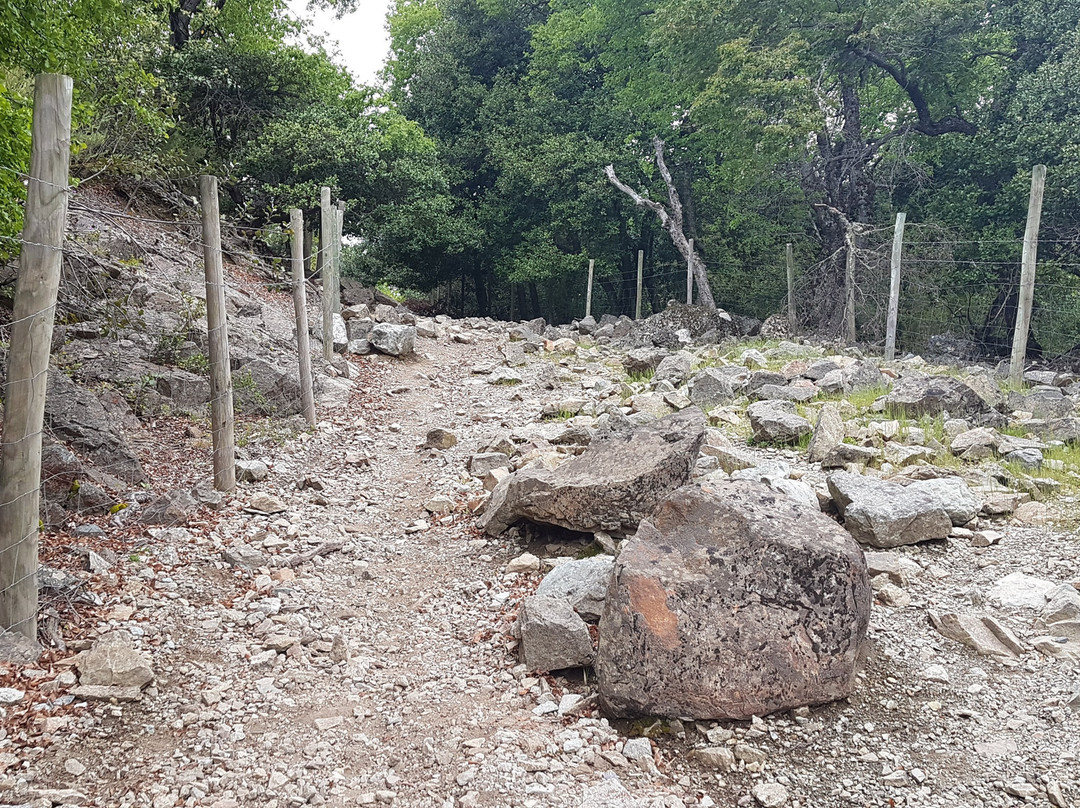 Reserva Nacional Los Bellotos-Colbun必去景点