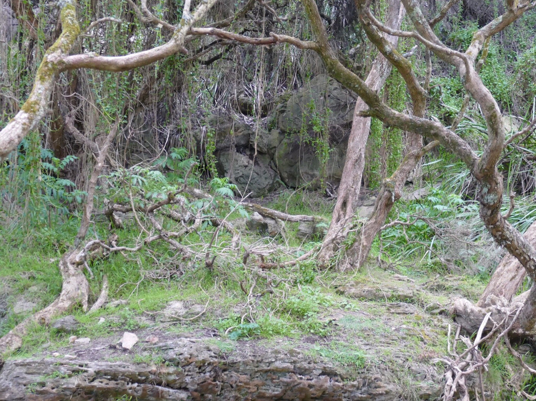 Enchanted Forest-Cape Bridgewater必去景点