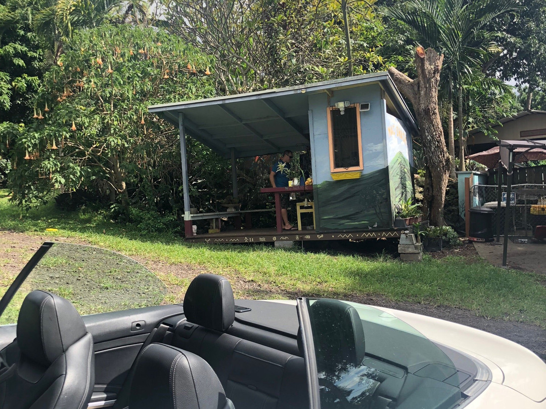 Joe's Nuts-库克船长必去景点