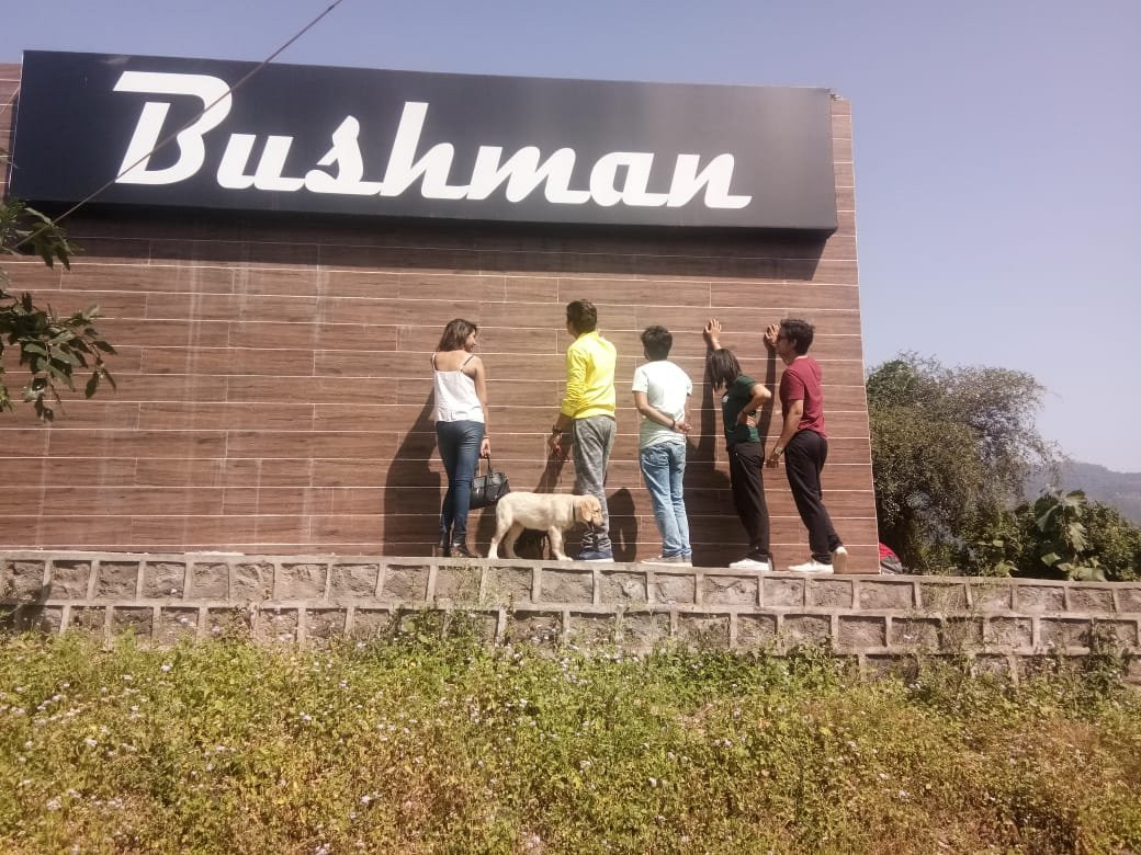 Bushman主图