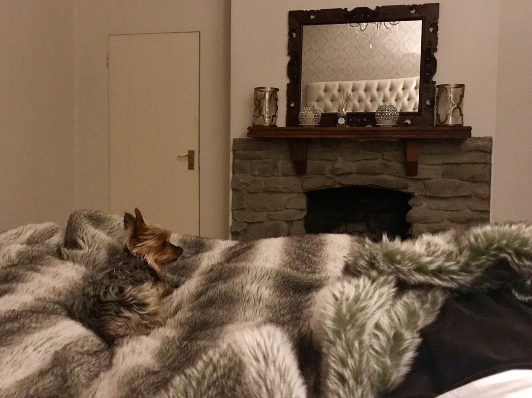 Lords of the Manor主图