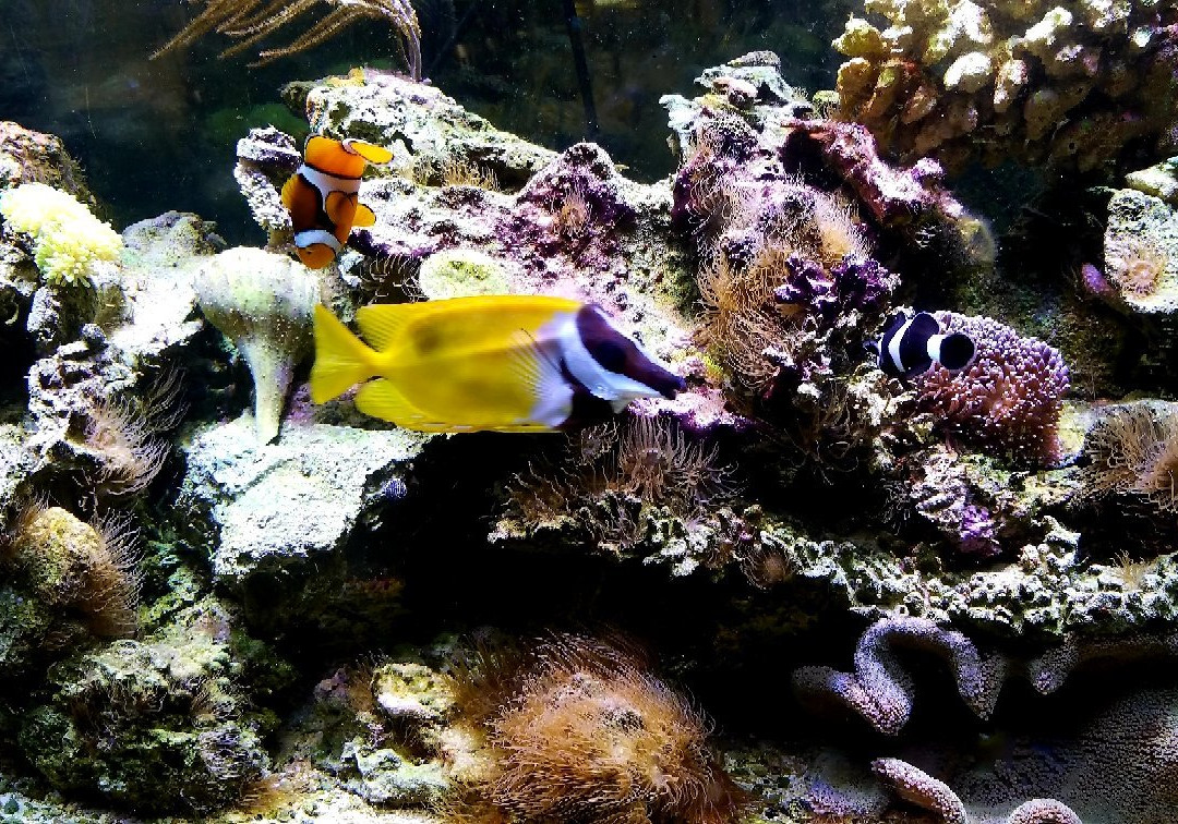 Saltwater Brewery-德拉海滩必去景点