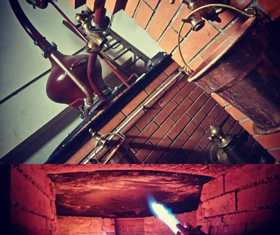 Le Chai du Rouissoir景点图片