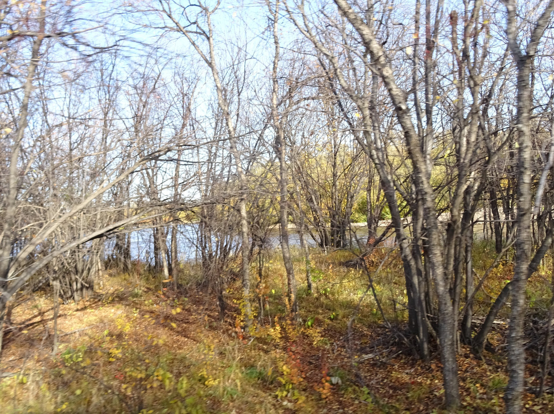 额尔古纳国家湿地公园-额尔古纳市必去景点