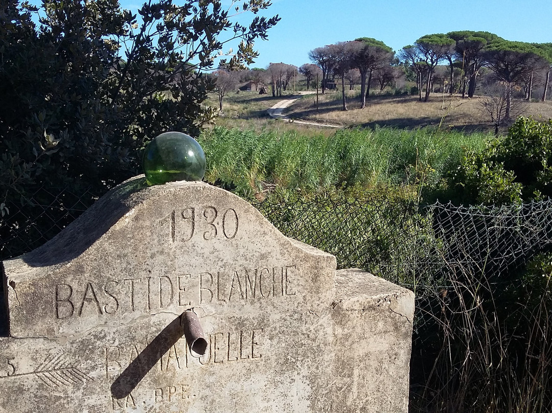 Domaine La Tourraque-Ramatuelle必去景点