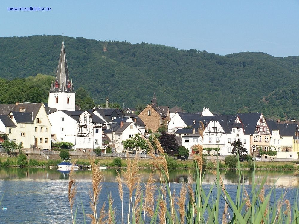 Pension Mosellablick