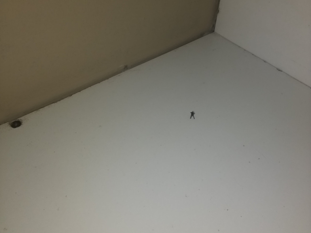 Mountainview Inn主图