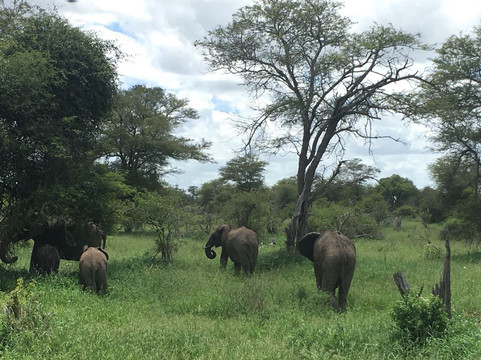 Thula Seats-白河必去景点