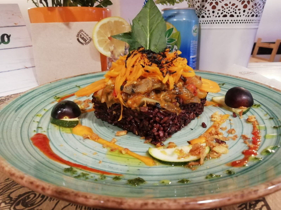 Vegetariano TEFF