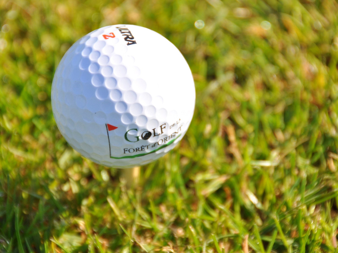 Golf de la Forêt d'Orient-Rouilly Sacey必去景点