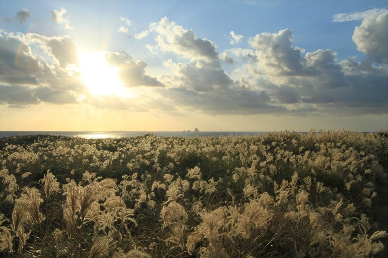 Miyakejima Tourist Association-三宅村必去景点