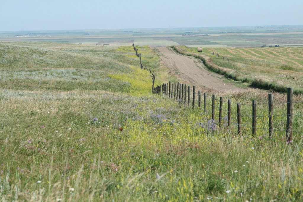 Twin River Heritage Rangeland Natural Area景点图片