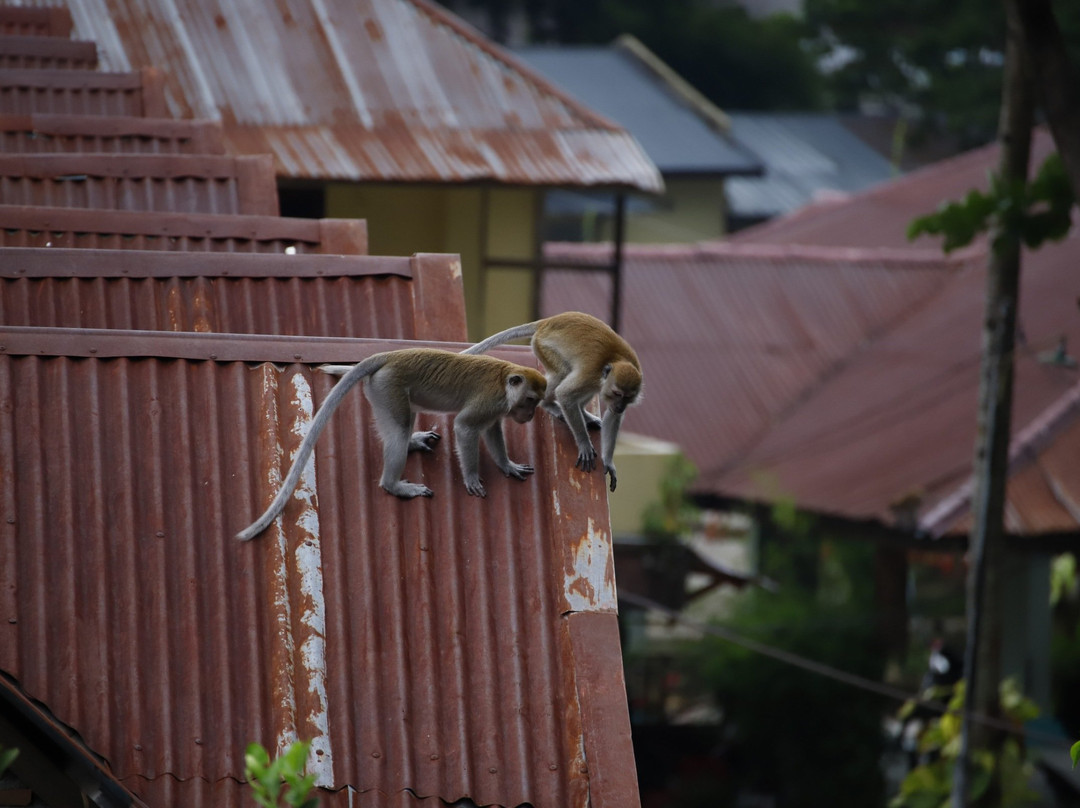 Bohorok酒店住宿-Yusman Guest House