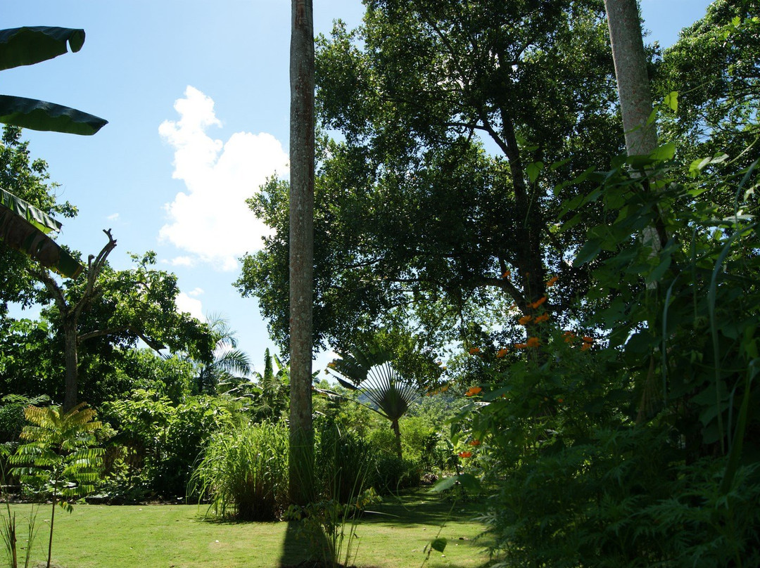 La Canada El Limon主图