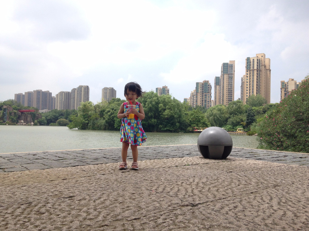 青枫公园-常州市必去景点