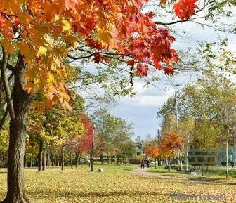 Higashiyama Park-岩见泽市必去景点